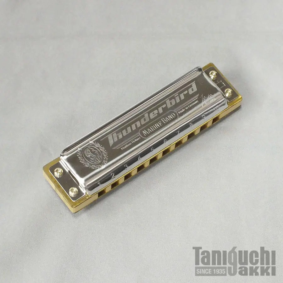 HOHNER Pentaharp【10ホールズ(ブルースハープ)】 - 谷口楽器