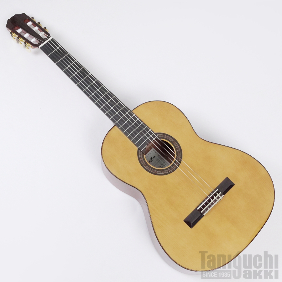 Aria ACE-5S L/H レフトハンド(左利き用) - 谷口楽器