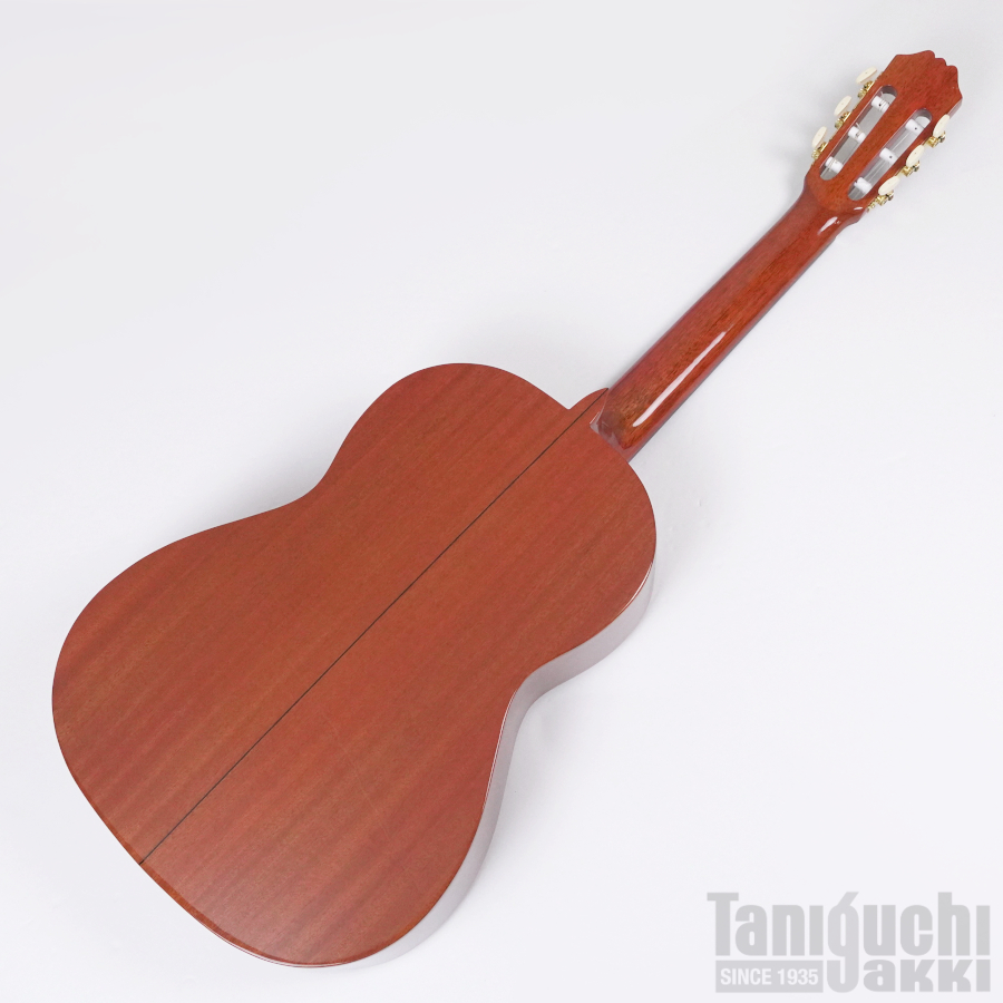 Aria ACE-5S L/H レフトハンド(左利き用) - 谷口楽器