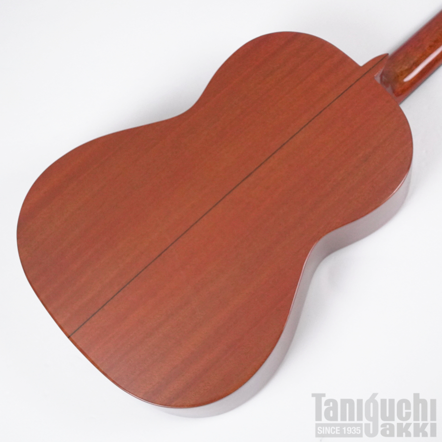 Aria ACE-5S L/H レフトハンド(左利き用) - 谷口楽器
