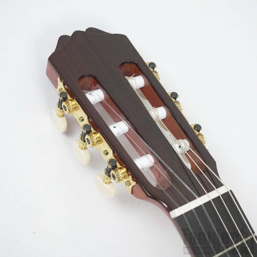 Aria ACE-5S L/H レフトハンド(左利き用) - 谷口楽器