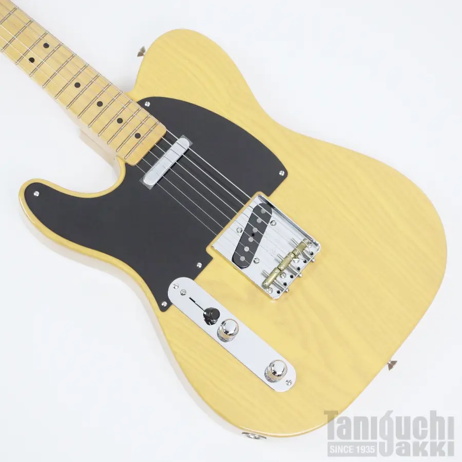 Fujigen NTE100MAHL (VNT) -Neo Classic- - 谷口楽器