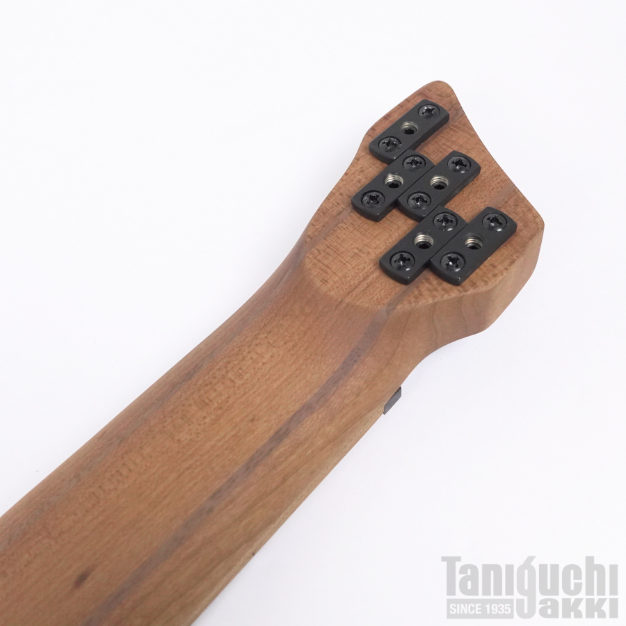 Ibanez EHB1005MSL(SFM) - 谷口楽器