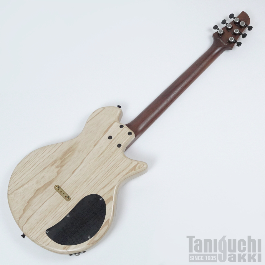 Dragonfly MAROON CUSTOM 648 -Rosewood Neck- Lefty ※SOLD OUT - 谷口楽器