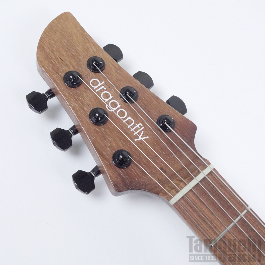 Dragonfly MAROON CUSTOM 648 -Rosewood Neck- Lefty ※SOLD OUT - 谷口楽器