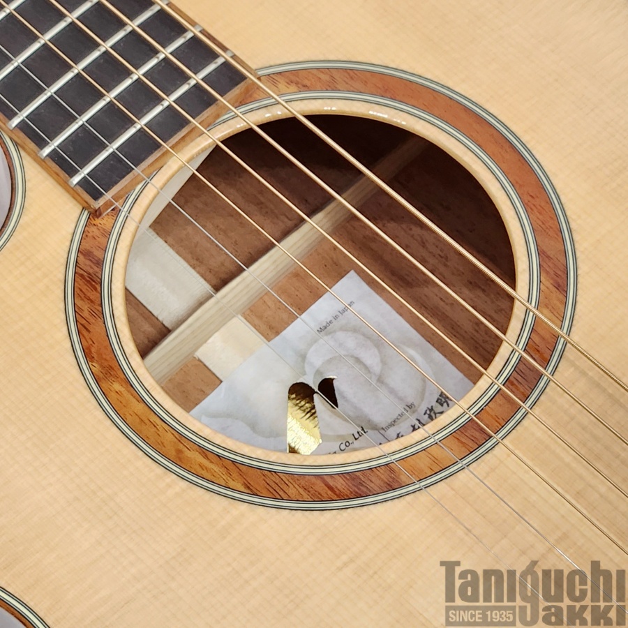 Morris SE-93LH “Hand Made Premium” Left-Handed - 谷口楽器