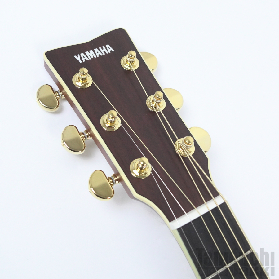 YAMAHA LL16L ARE Left Hand - 谷口楽器