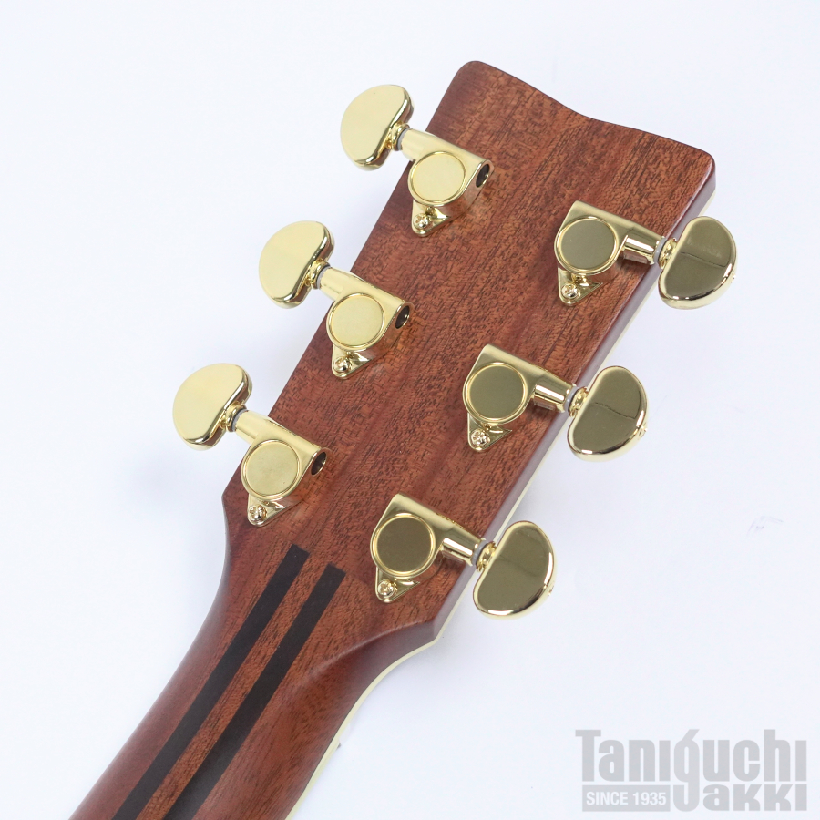 YAMAHA LL16L ARE Left Hand - 谷口楽器