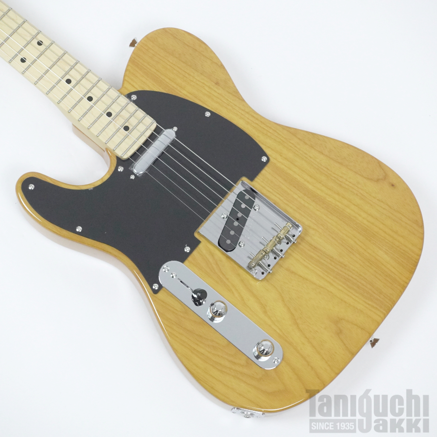 Fujigen NTE100MAHL (VNT) -Neo Classic- - 谷口楽器