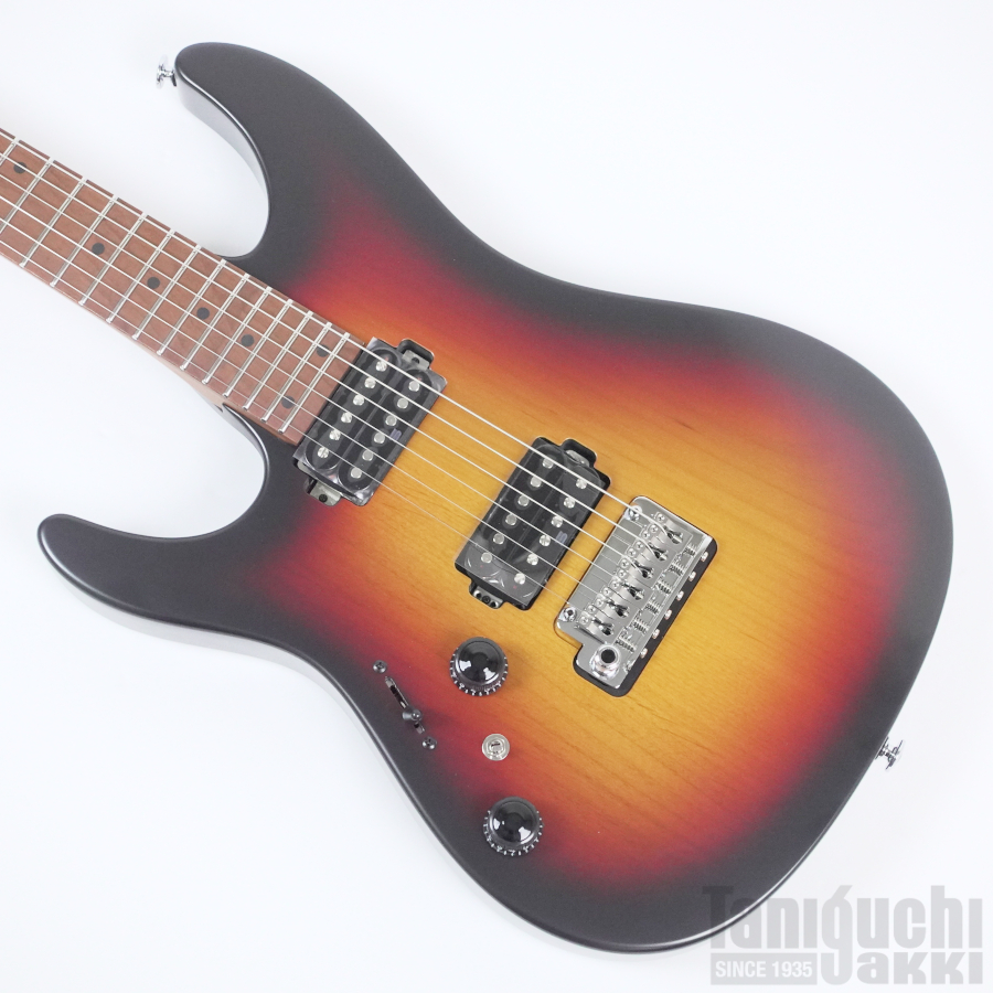 Ibanez RG421EXL (Black Flat) ※6月下旬入荷予定 - 谷口楽器