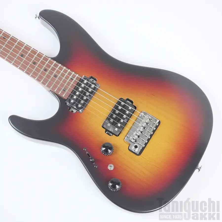 Ibanez RGA42FML (Blue Lagoon Burst Flat) - 谷口楽器