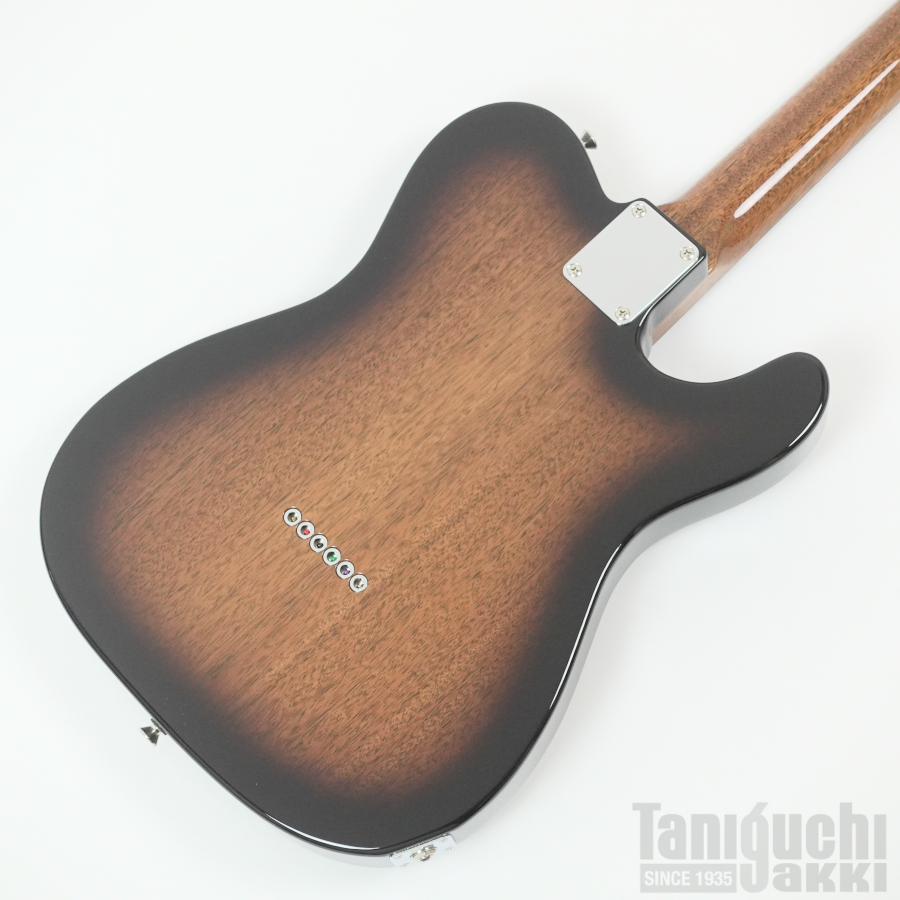 Freedom Custom Guitar Research / Brown Pepper Lefty (Black Burst