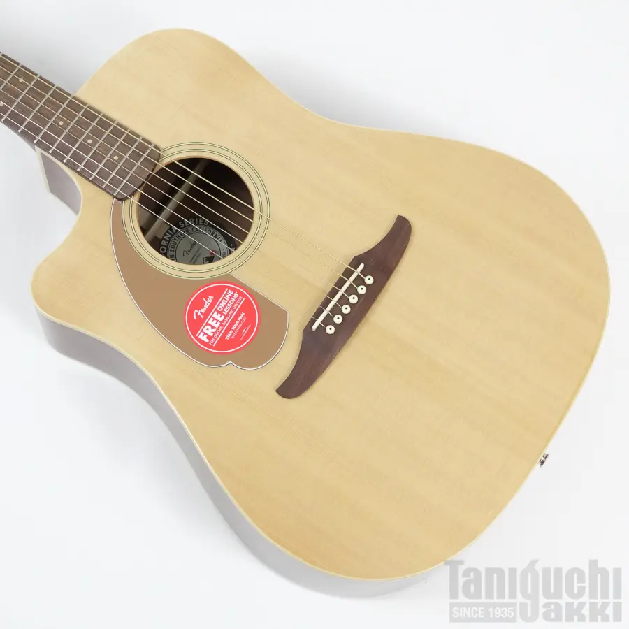 Fender - 谷口楽器