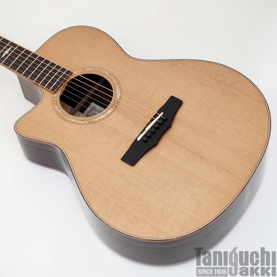Fujigen NTE100MAHTL (WB) -Neo Classic - 谷口楽器