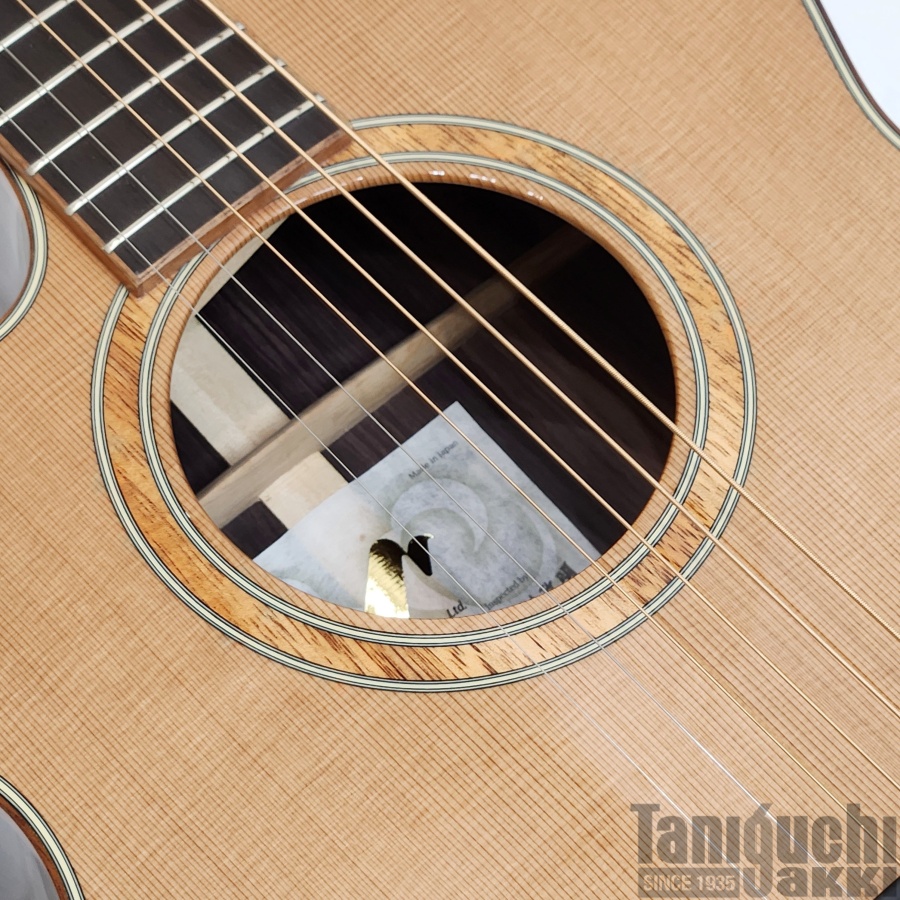 入荷待ち】Morris SE-102LH “Hand Made Premium” Left-Handed - 谷口楽器