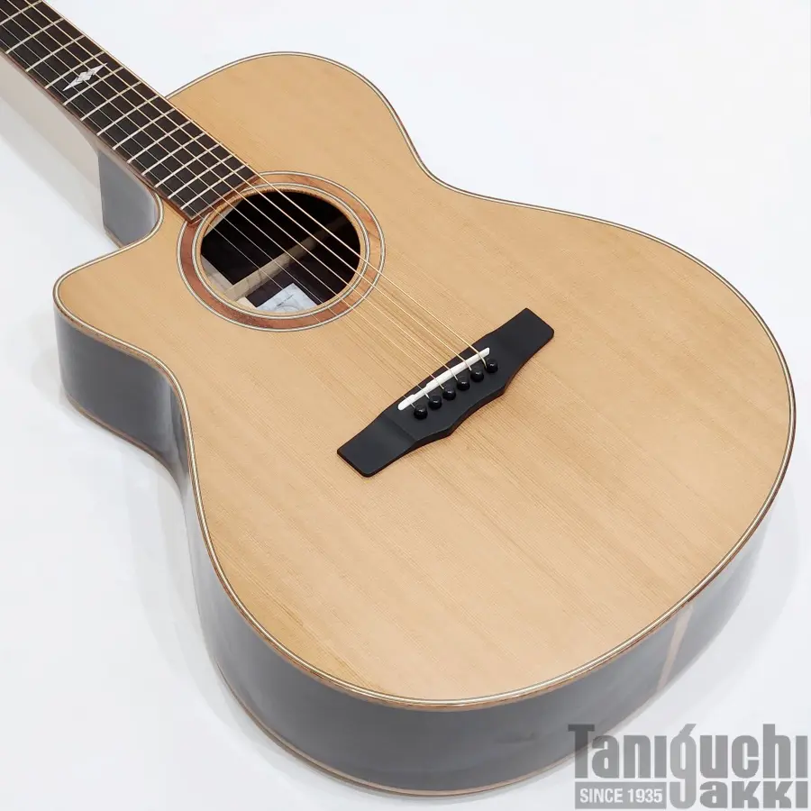 Fujigen NTE100MAHL (VNT) -Neo Classic- - 谷口楽器