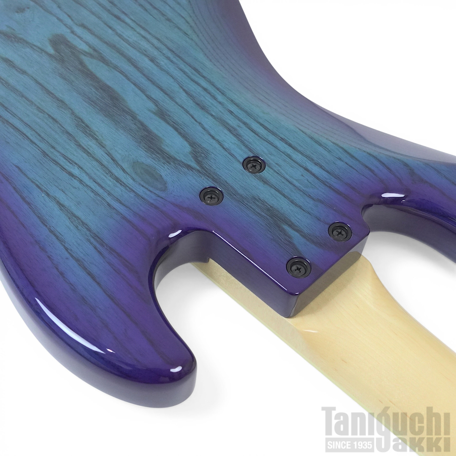 Fujigen NJB100MBAHVL (SBB) -Neo Classic- - 谷口楽器