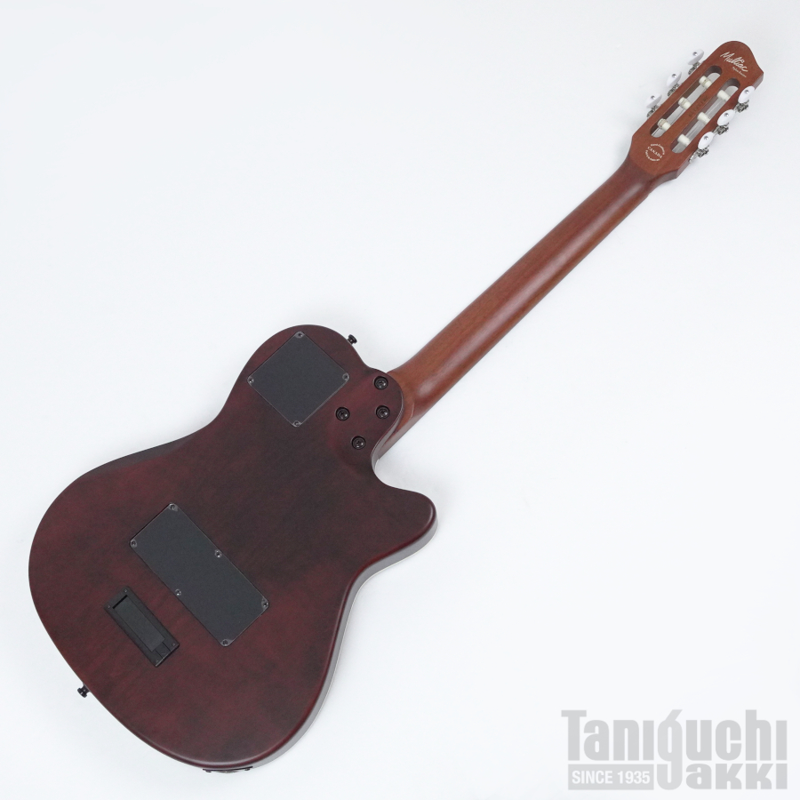Godin Multiac Nylon Encore Left-Handed - 谷口楽器 Godin Multiac Nylon Encore Left-Handed - 谷口楽器