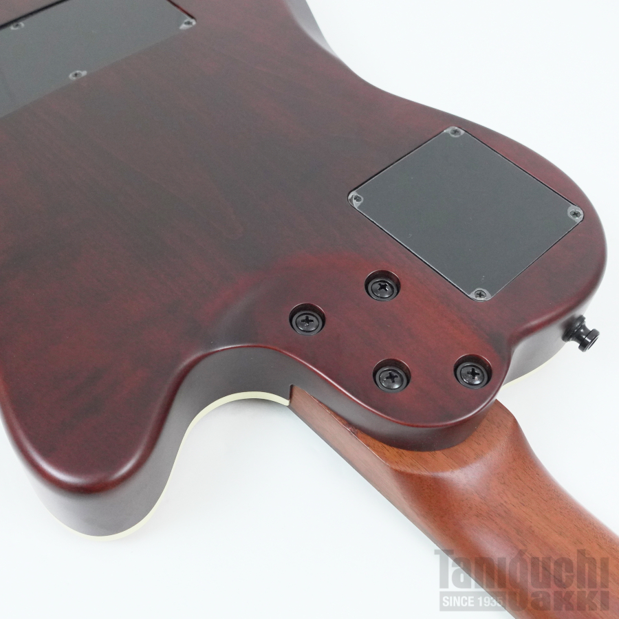 Godin Multiac Nylon Encore Left-Handed - 谷口楽器