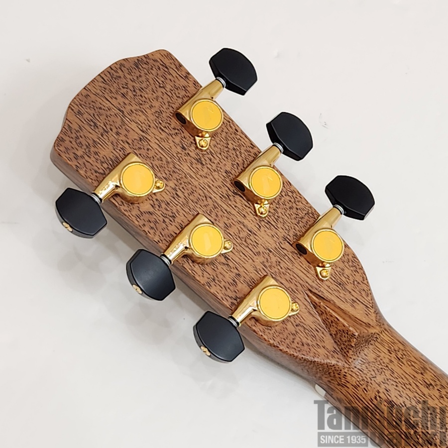 Morris “Hand Made Premium” SE-103LH #2403007 - 谷口楽器