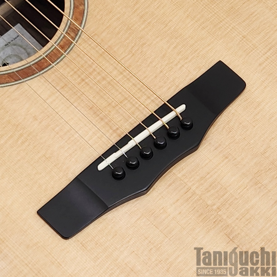 Morris SE-103LH “Hand Made Premium” Left-Handed - 谷口楽器