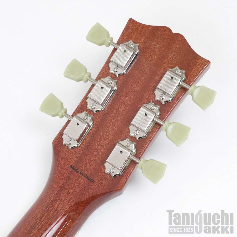 Tokai LS-101F-Lefty (LD) - 谷口楽器