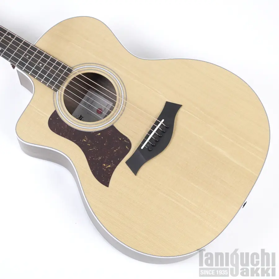 taylor_214ce_2.jpg.webp