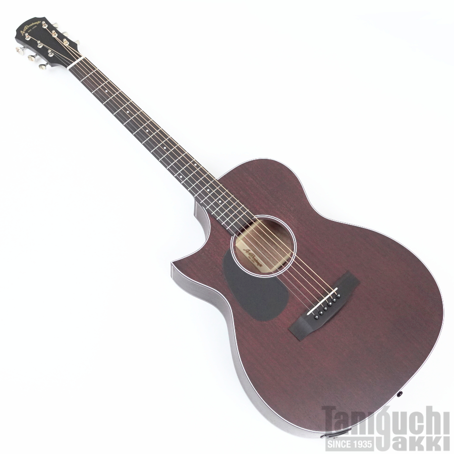 Aria AF-101MHCE-LH 入門セット付【レフトハンド/左利き用】 - 谷口楽器