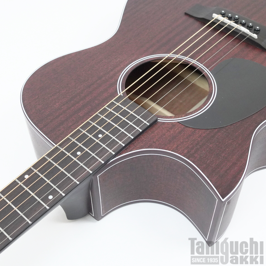 Aria AF-101MHCE-LH 入門セット付【レフトハンド/左利き用】 - 谷口楽器