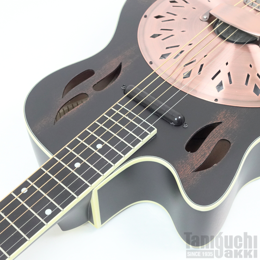 Ortega Americana Series RRG40CE-DBK-Lefty - 谷口楽器