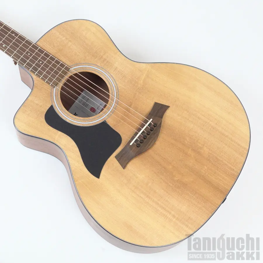 Taylor - 谷口楽器