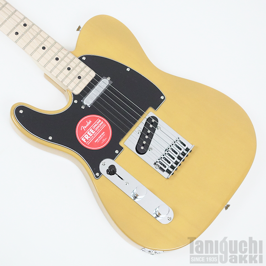 Fujigen NTE100MAHL (VNT) -Neo Classic- - 谷口楽器