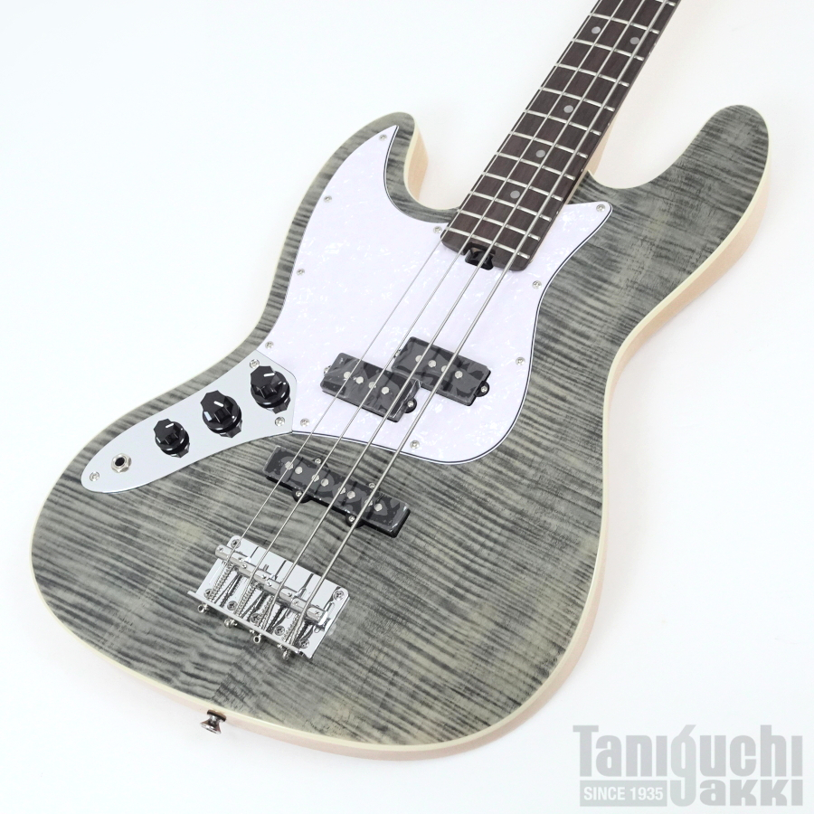 Aria ProII STB-AE200 (BKDM)【レフトハンド/左利き用】 - 谷口楽器