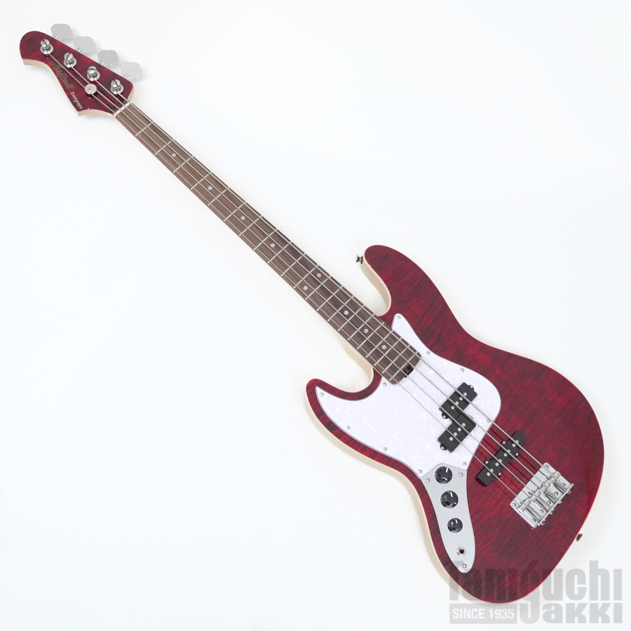 Aria ProII STB-AE200 (SR) 入門セット付【レフトハンド/左利き用