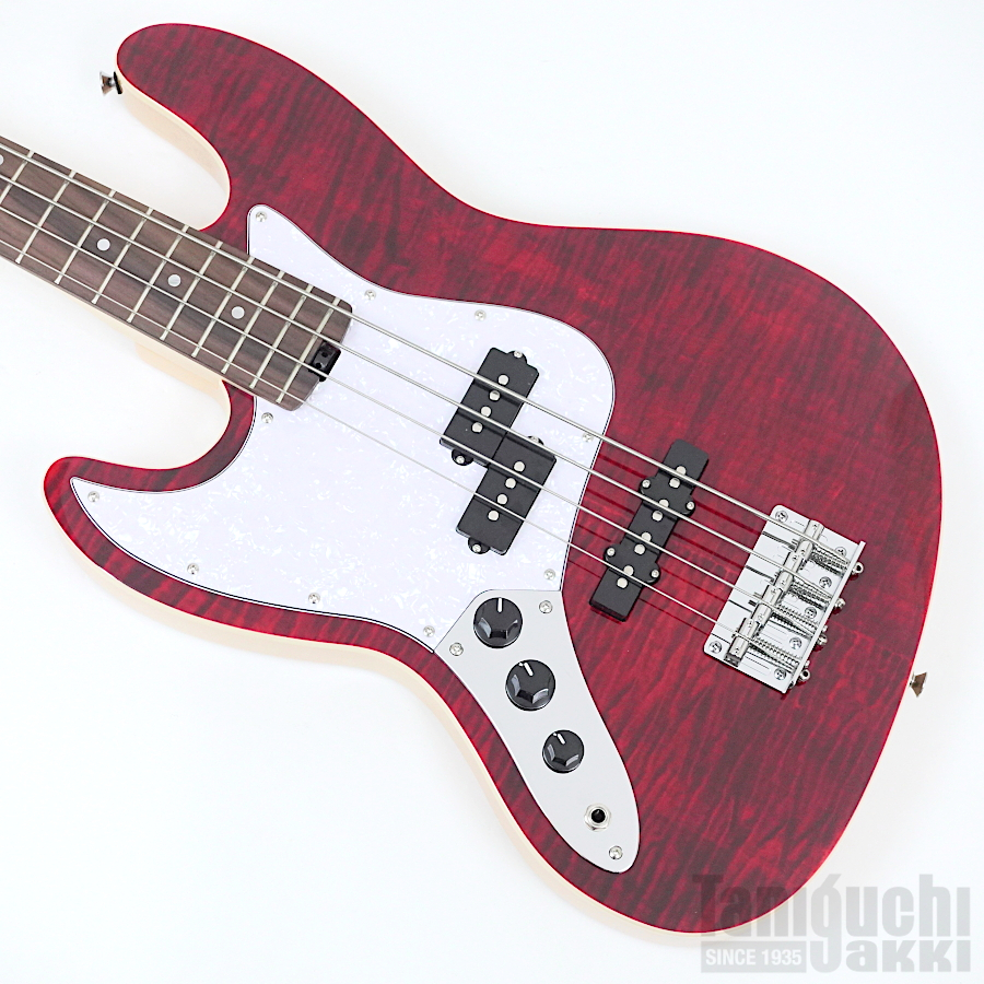Aria ProII STB-AE200 (SR) 入門セット付【レフトハンド/左利き用