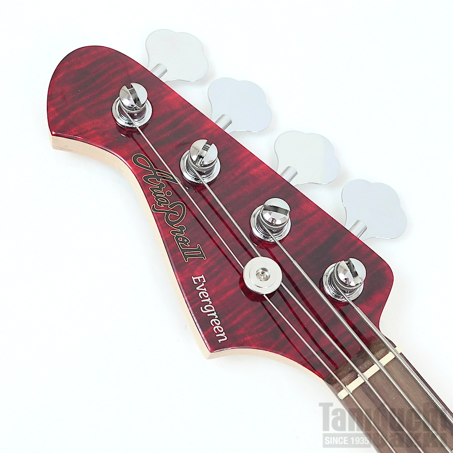 Aria ProII STB-AE200 (SR) 入門セット付【レフトハンド/左利き用