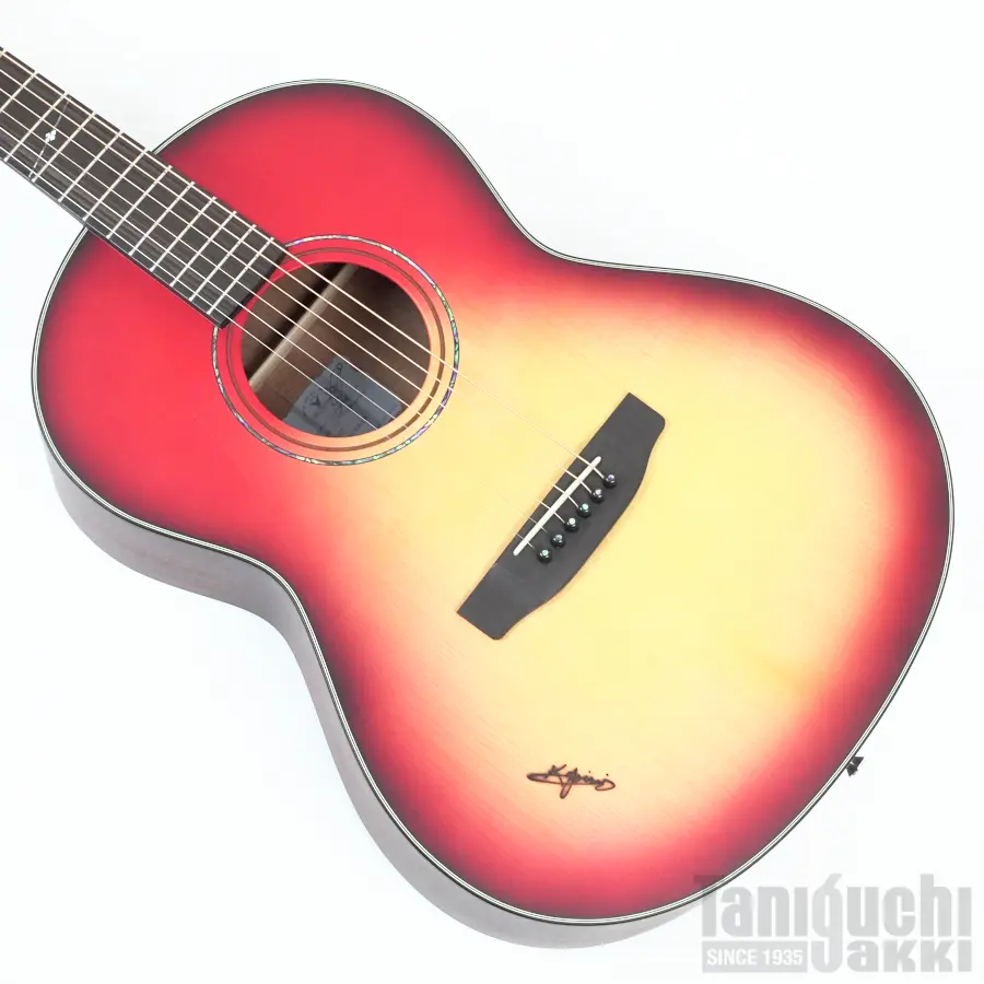 Dragonfly MAROON CUSTOM 648 -Rosewood Neck- Lefty ※SOLD OUT - 谷口楽器