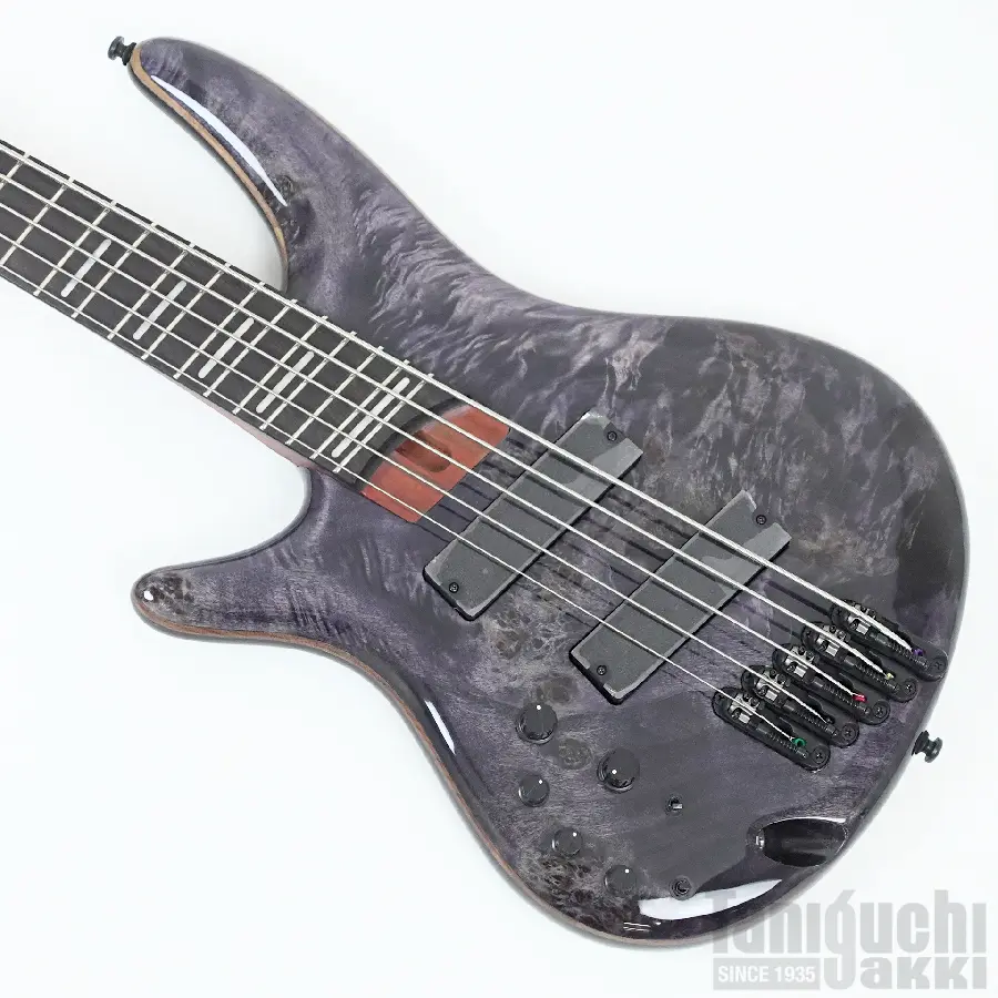 Ibanez EHB1005MSL(SFM) - 谷口楽器