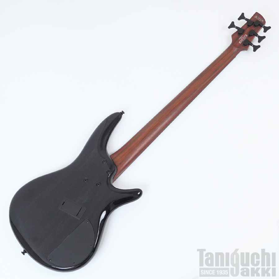 Ibanez SRMS805L (Deep Twilight) -Workshop- - 谷口楽器