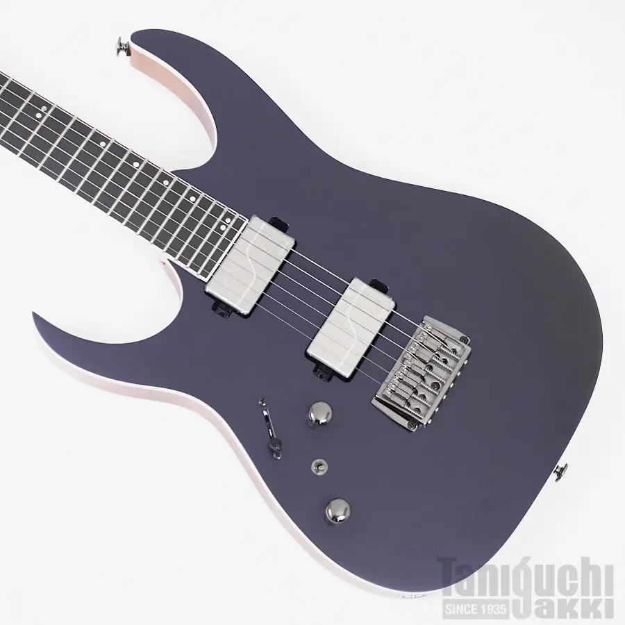 Ibanez - 谷口楽器