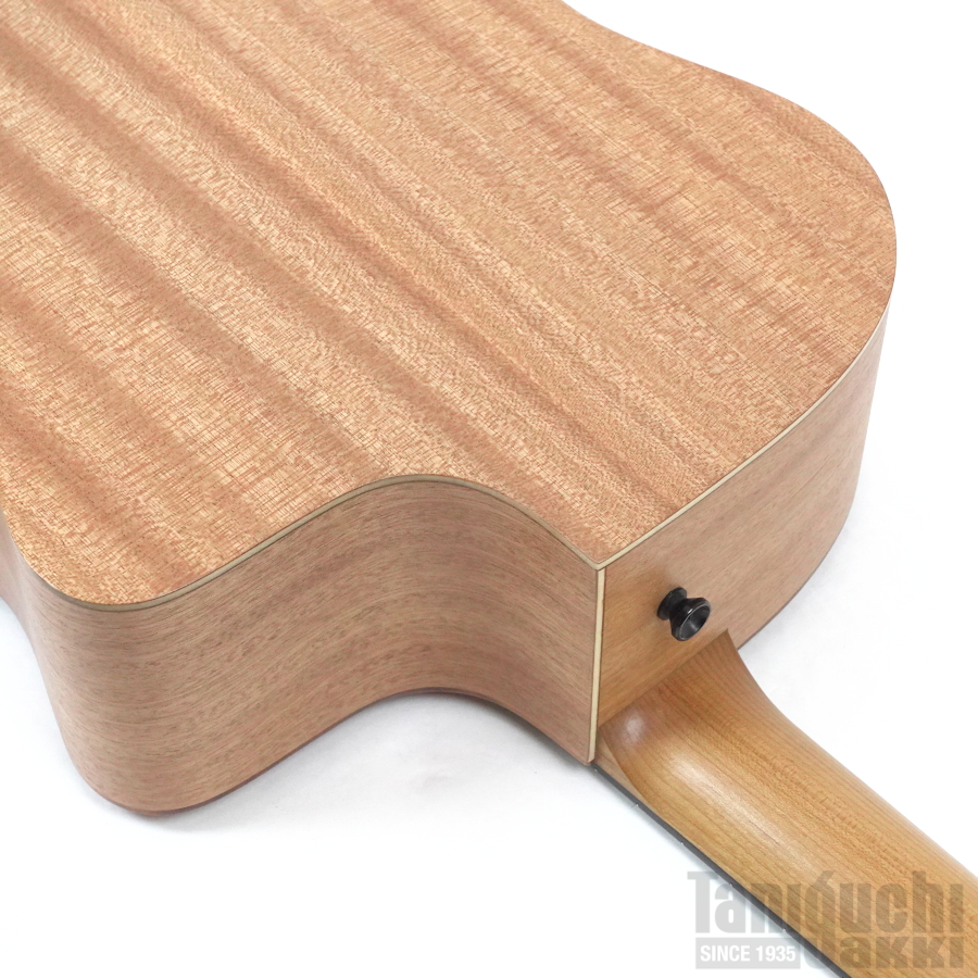 Taylor 24ce Left-Handed - 谷口楽器