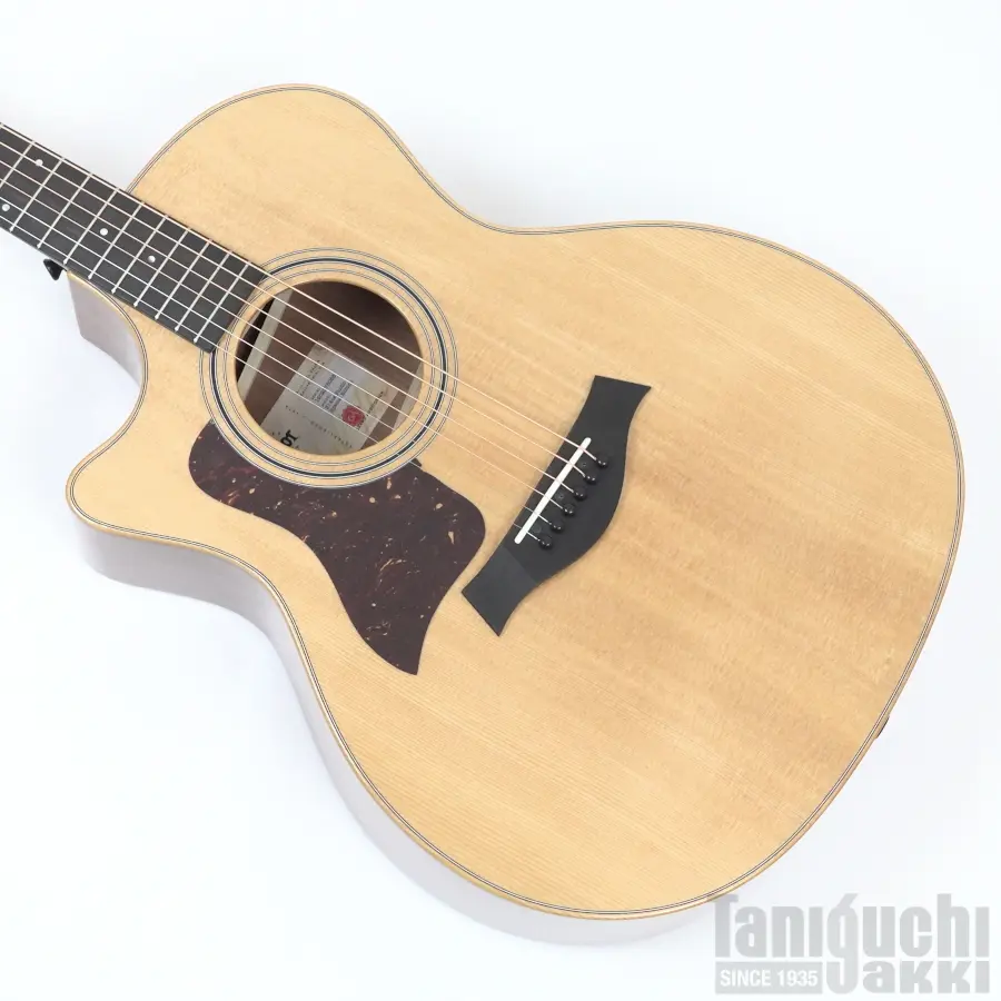 Aria AF-101MHCE-LH 入門セット付【レフトハンド/左利き用】 - 谷口楽器