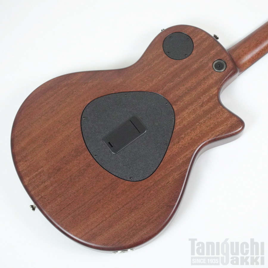 Taylor T5z Classic Left-Handed ※SOLD OUT - 谷口楽器