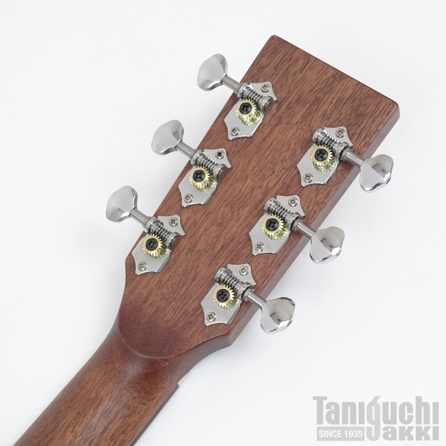 NAGI GUITARS / one Lefty - 谷口楽器