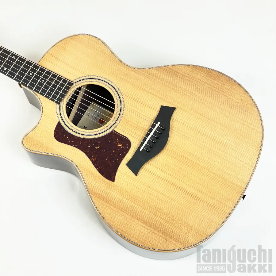 taylor-414ce-studio-