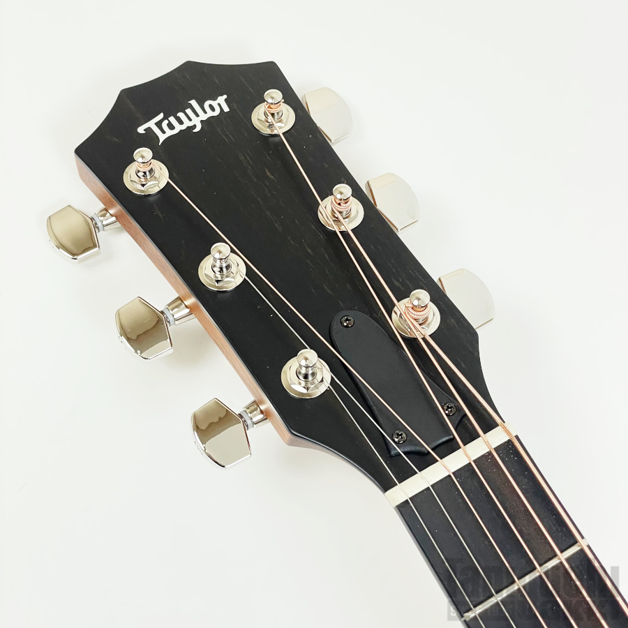 Taylor 414ce Studio Left-Handed - 谷口楽器