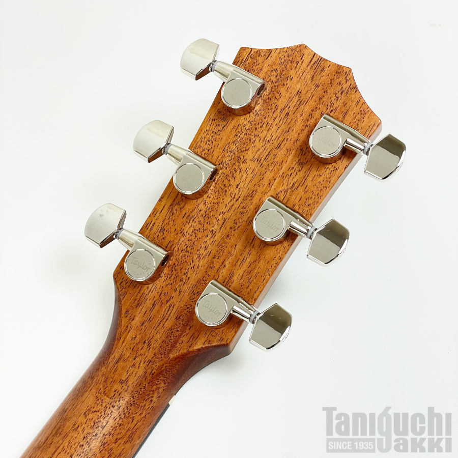 Taylor 414ce Studio Left-Handed - 谷口楽器