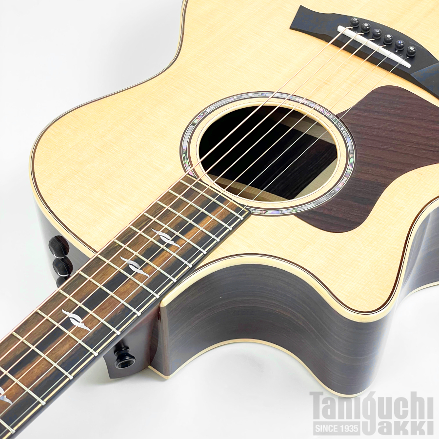 Taylor 814ce Left-Handed - 谷口楽器