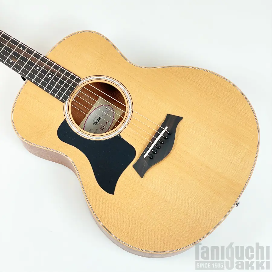 taylor-gs-mini_2204075216_2.