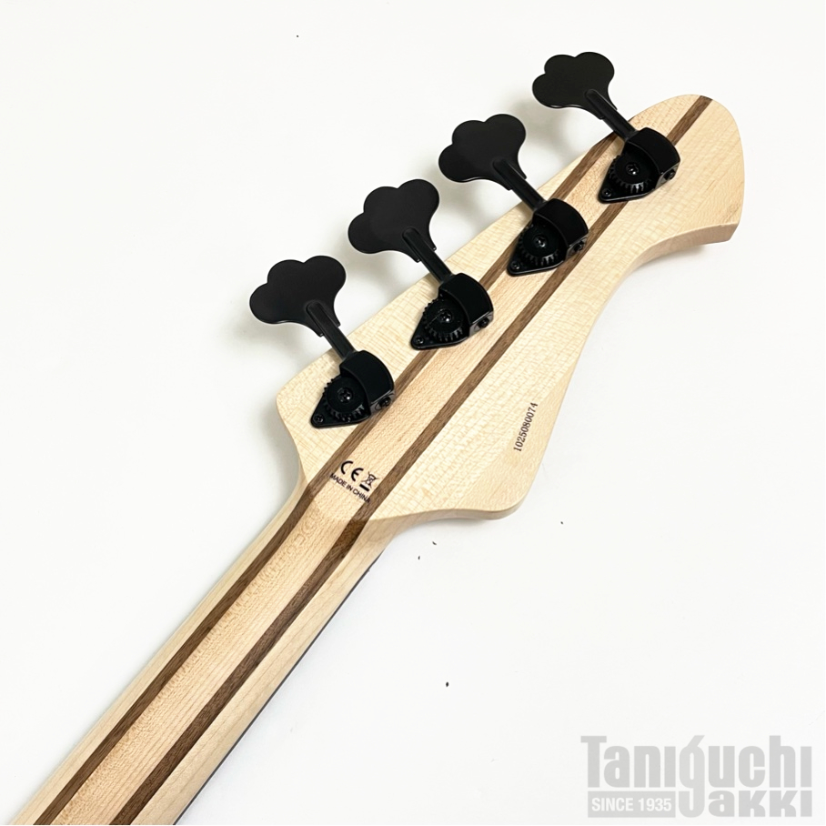 Aria ProII RSB-700WP/Lefty (NT) - 谷口楽器